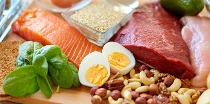 Proteina Dietan Onartzen diren Janariak